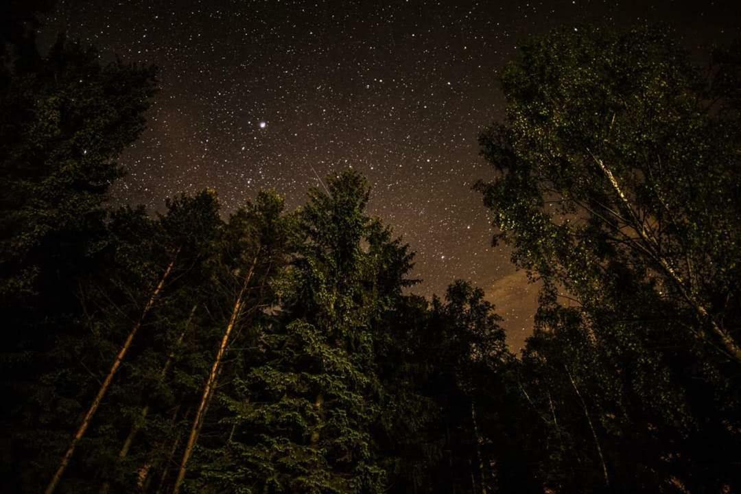 Lesni Chaty "Hogo Fogo" Kytlice Экстерьер фото